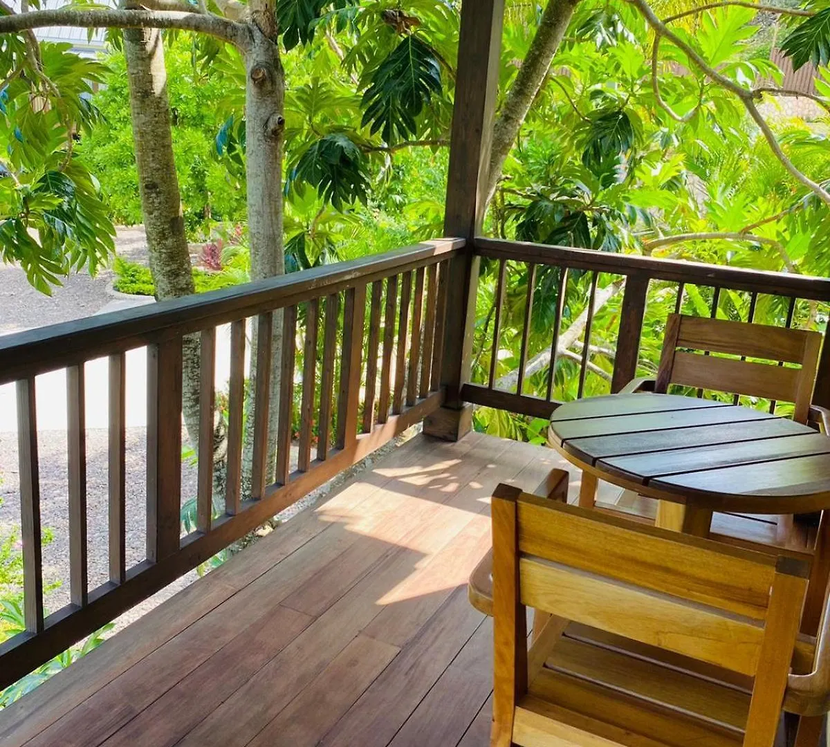 Luxury Villa With Private Pool In Oracabessa ジャマイカ